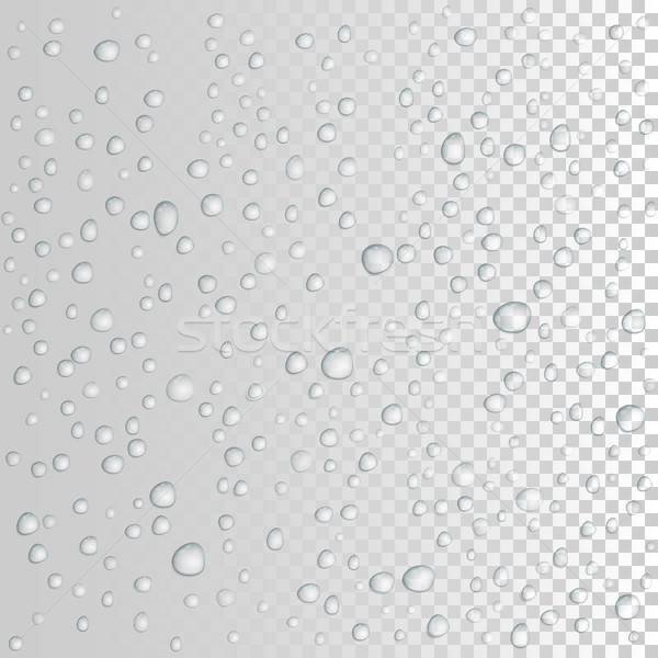 vector Water drops on glass. rain drops Stock photo © olehsvetiukha