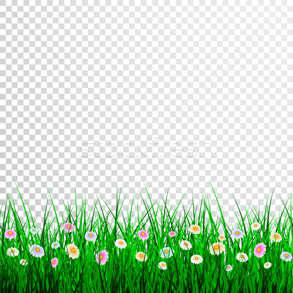 Green Grass with flowers Border Set, Vector Illustration Stock photo © olehsvetiukha