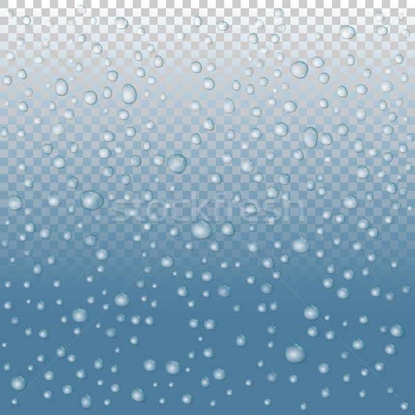 vector Water drops on glass. rain drops Stock photo © olehsvetiukha