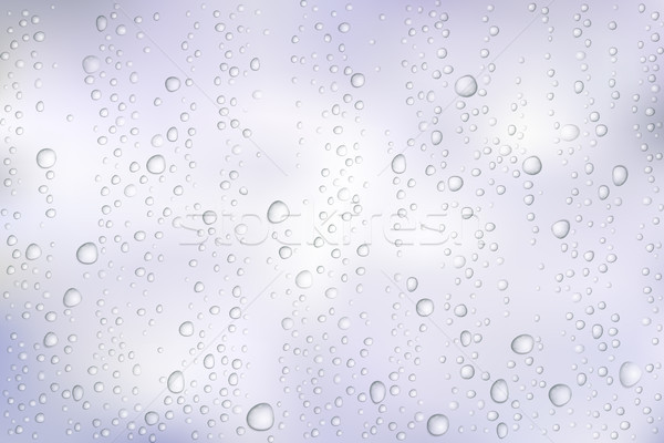 Vector Water drops on glass. Rain drops on transparent background Stock photo © olehsvetiukha