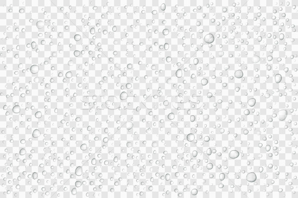 Vettore gocce d'acqua vetro pioggia gocce trasparente Foto d'archivio © olehsvetiukha