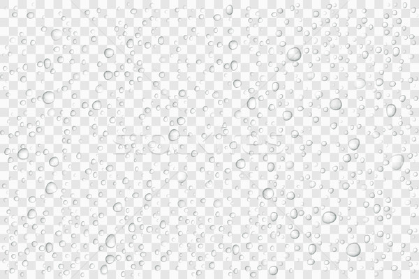 Vector Water drops on glass. Rain drops on transparent background Stock photo © olehsvetiukha