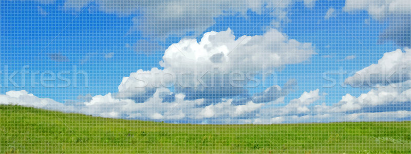 Beautiful summer landscape  Stock photo © OlgaDrozd