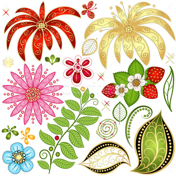 Set colorful floral design elements Stock photo © OlgaDrozd