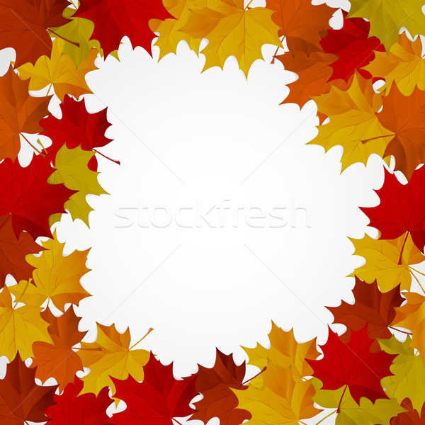 Abstrakten Herbst farbenreich Blätter Textur Baum Stock foto © OlgaYakovenko