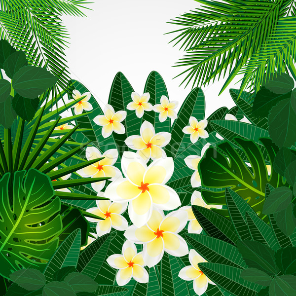 Eps10 dizayn çiçekler tropikal yaprakları Stok fotoğraf © OlgaYakovenko