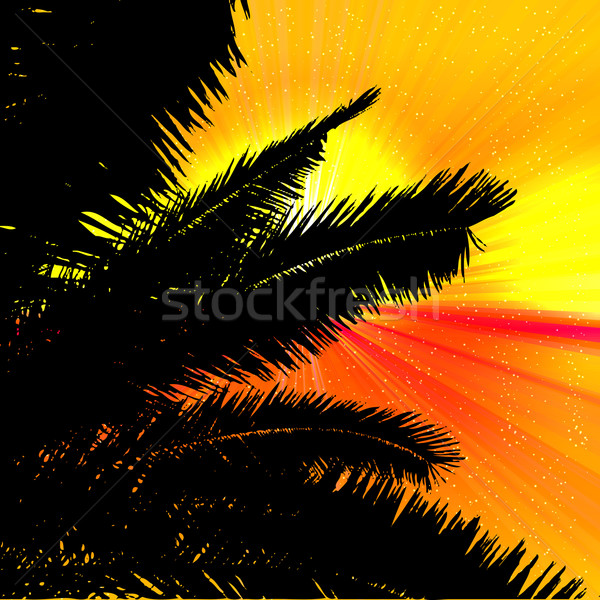 Palms and sunset on tropical background. Stock photo © OlgaYakovenko