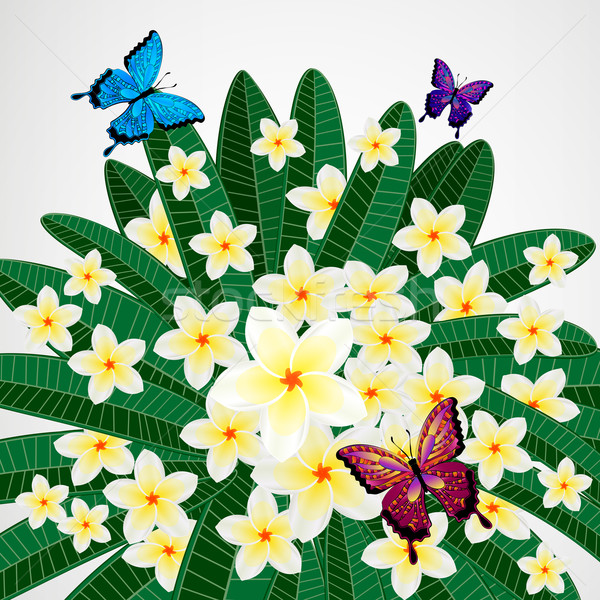 Eps10 цветочный дизайна цветы бабочки бабочка Сток-фото © OlgaYakovenko