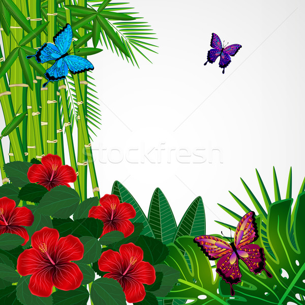 Tropical floral design background with butterflies. Stock photo © OlgaYakovenko