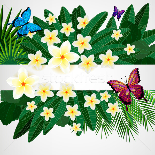 Kwiatowy projektu kwiaty tropikalnych pozostawia motyle Zdjęcia stock © OlgaYakovenko