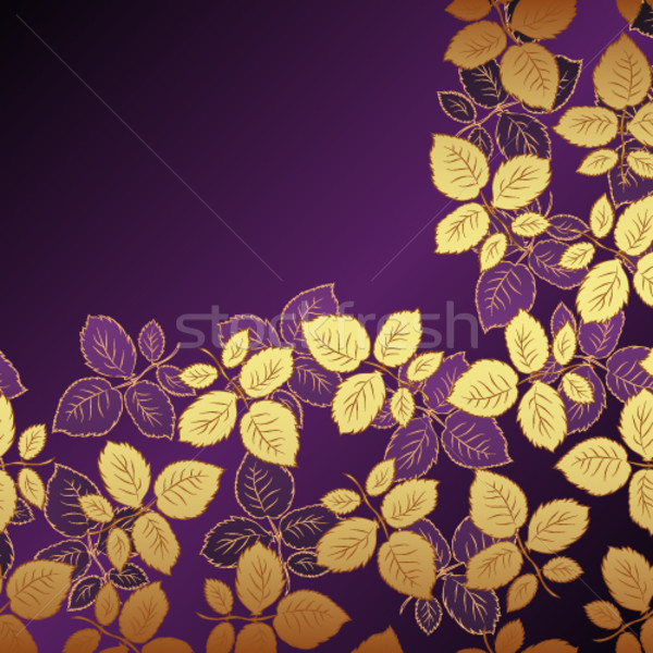 Vector lila floral ilustración diseno aumentó Foto stock © OlgaYakovenko
