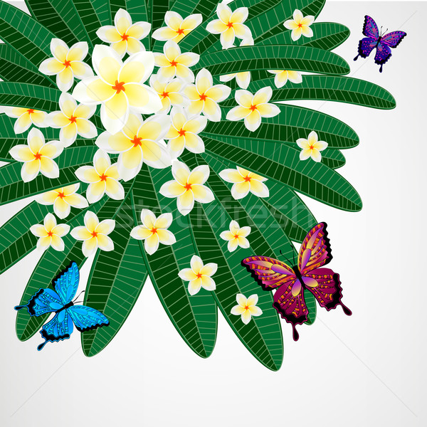 Stock foto: Eps10 · floral · Design · Blumen · Schmetterlinge · Schmetterling