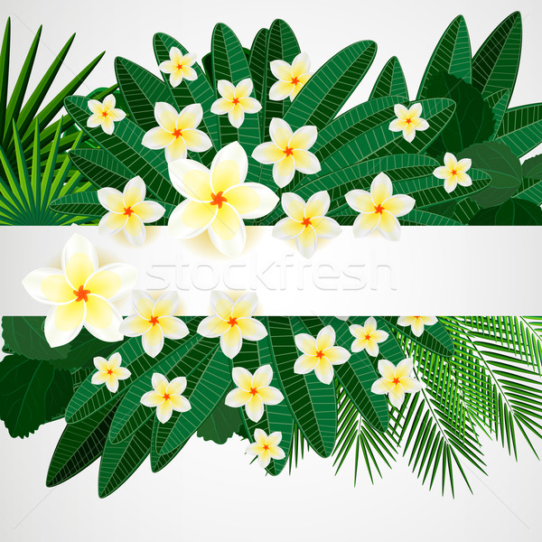 Eps10 kwiatowy projektu kwiaty tropikalnych pozostawia Zdjęcia stock © OlgaYakovenko