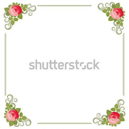 Vector graphic of Rose with leaves, vector illustration. Stock photo © OlgaYakovenko