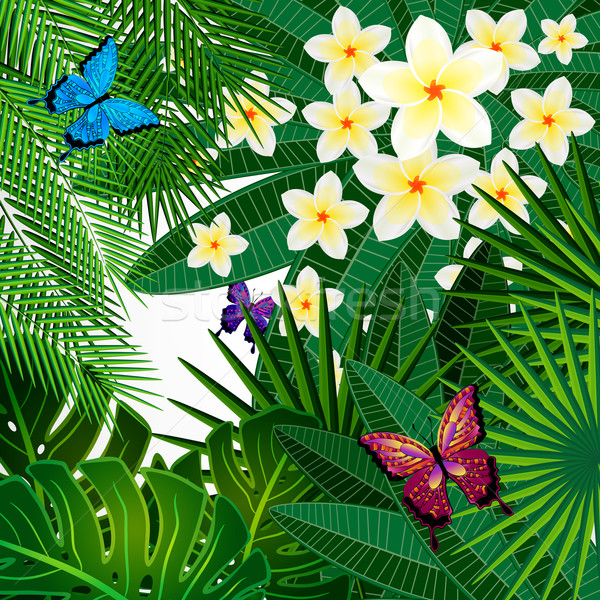 Kwiatowy projektu kwiaty tropikalnych pozostawia motyle Zdjęcia stock © OlgaYakovenko