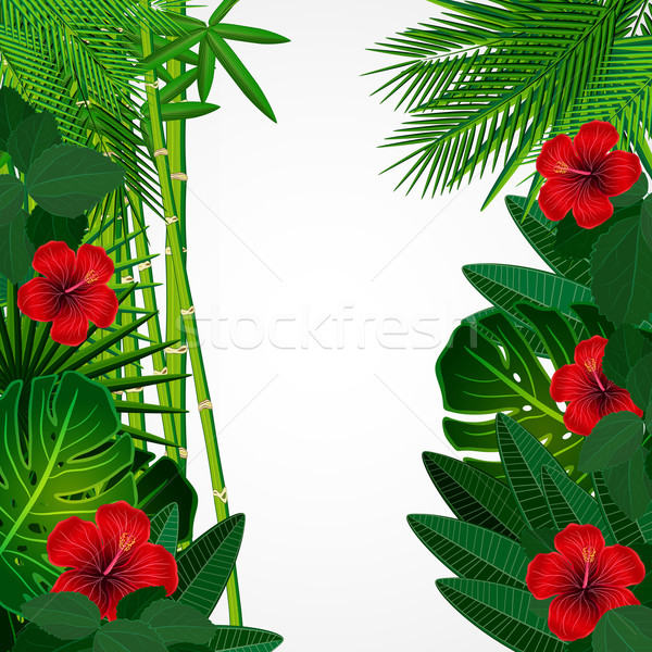 Tropical floral design background. Stock photo © OlgaYakovenko