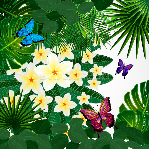 Dizayn çiçekler tropikal yaprakları kelebekler Stok fotoğraf © OlgaYakovenko