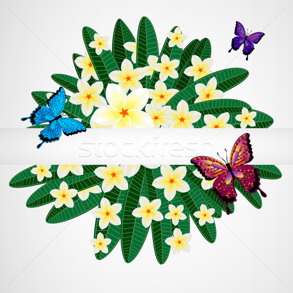 Eps10 dizayn çiçekler kelebekler kelebek Stok fotoğraf © OlgaYakovenko