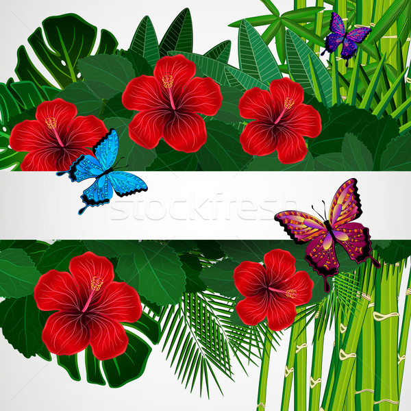 Stockfoto: Tropische · ontwerp · vlinders · boom · vlinder