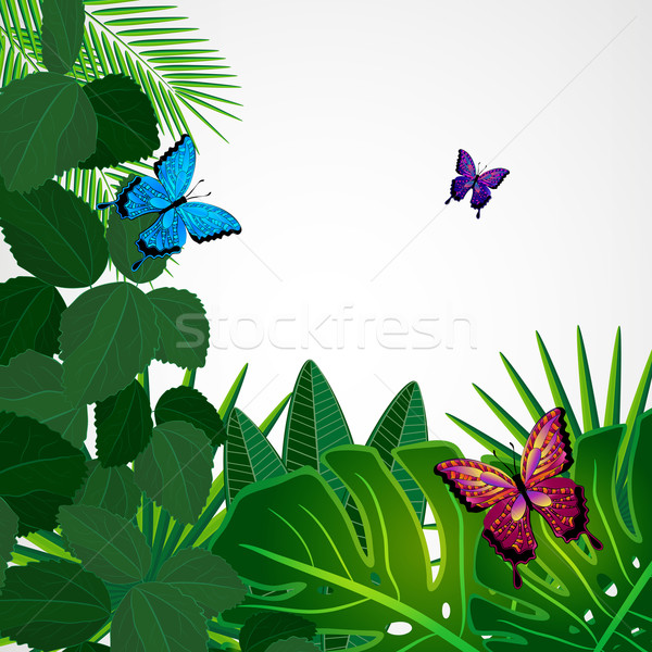 Tropical leaves with butterflies. Floral design background. Stock photo © OlgaYakovenko