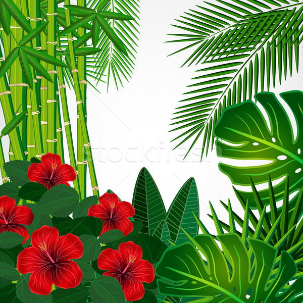 Tropical floral design background. Stock photo © OlgaYakovenko