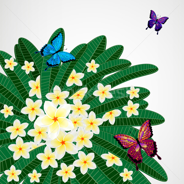 Stok fotoğraf: Eps10 · dizayn · çiçekler · kelebekler · kelebek