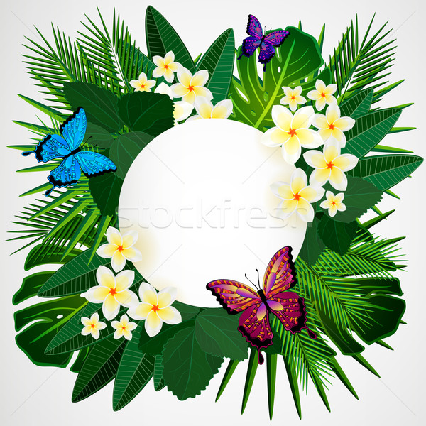 Floral diseno flores tropicales hojas mariposas Foto stock © OlgaYakovenko