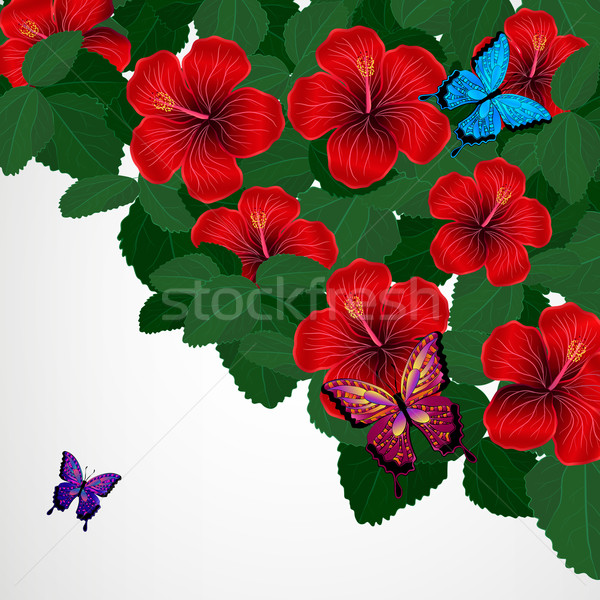 Dizayn ebegümeci çiçekler kelebekler doku Stok fotoğraf © OlgaYakovenko