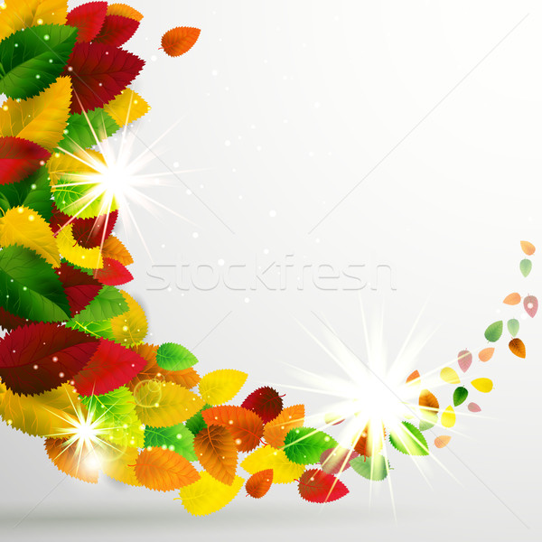 Stock photo: Autumn season background.