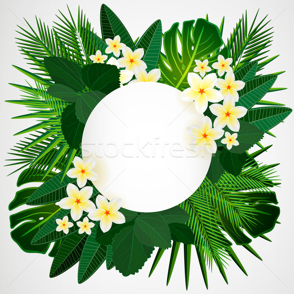 Eps10 floral diseno flores tropicales hojas Foto stock © OlgaYakovenko