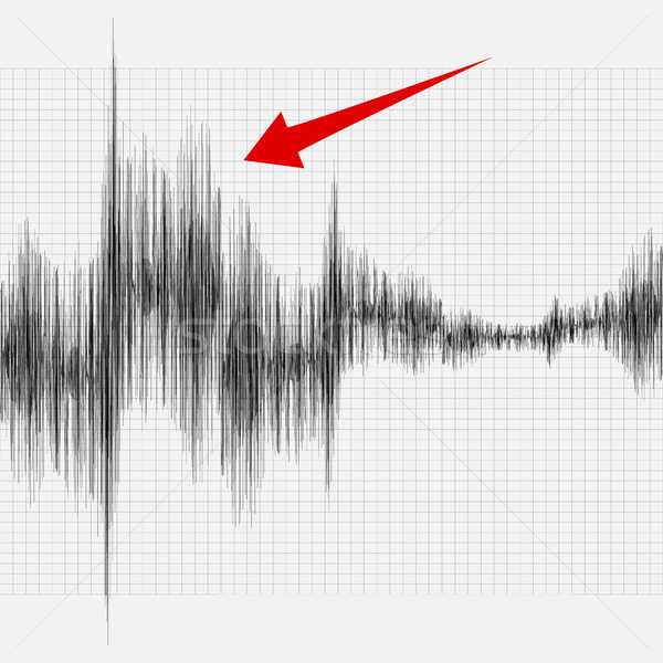 An earthquake on the graph of seismic activity. Vector illustrat Stock photo © OlgaYakovenko
