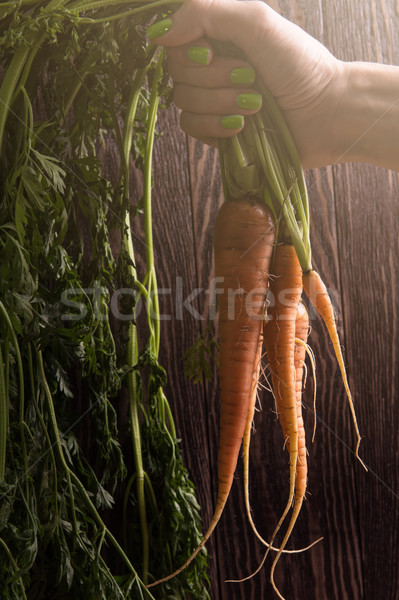 Stock photo: Freshly grown carrots