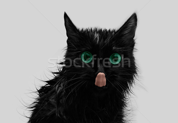 Gato negro ojos verdes gris ojo cara verde Foto stock © olira