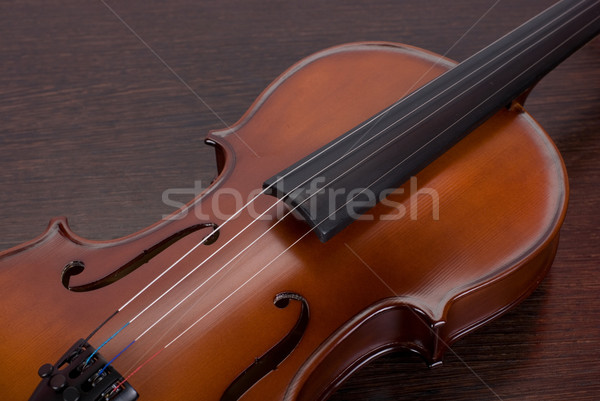 violin closeup Stock photo © olira