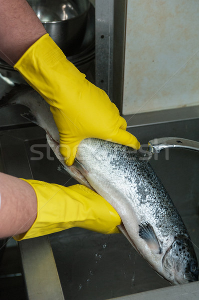 Stock photo: cleaning salmon fish 