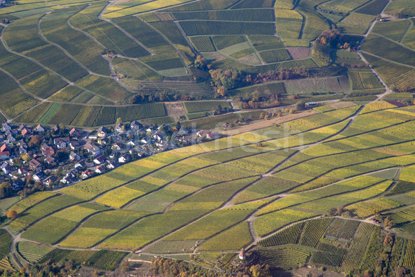 Aerial view of vineyards in Southern Germany Stock photo © oliverfoerstner