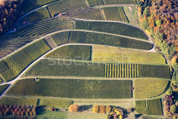 Aerial view of vineyards in Southern Germany Stock photo © oliverfoerstner