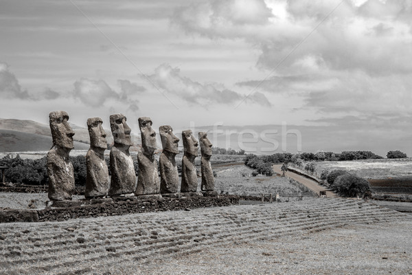 Moai statues on Easter Island Stock photo © oliverfoerstner