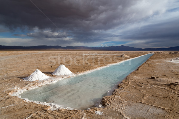 [[stock_photo]]: Argentine · sel · nord-ouest · paysage · piscine · blanche