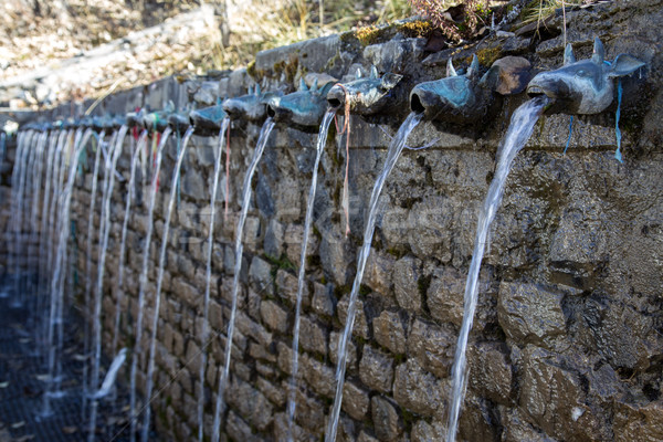Wall Fountain at Muktinath Temple Stock photo © oliverfoerstner