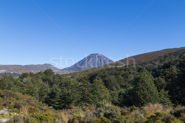 View of Mount Ngauruhoe Stock photo © oliverfoerstner