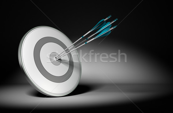 Successful Company Objectives - Business Concept Stock photo © olivier_le_moal
