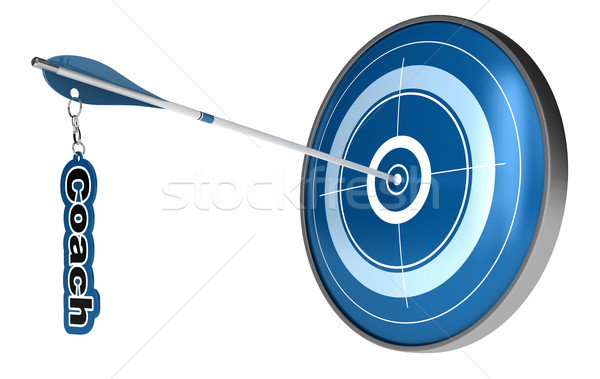 personal coach - target arrow Stock photo © olivier_le_moal