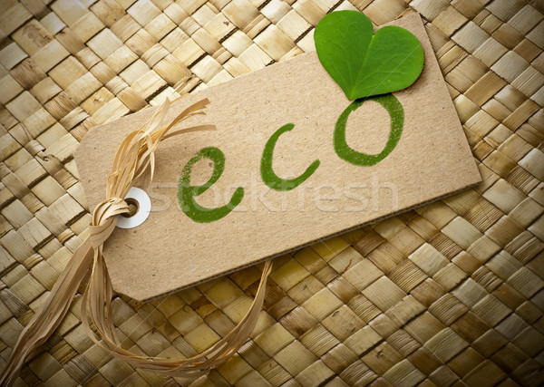 Etichetă eco cuvant scris carton Imagine de stoc © olivier_le_moal