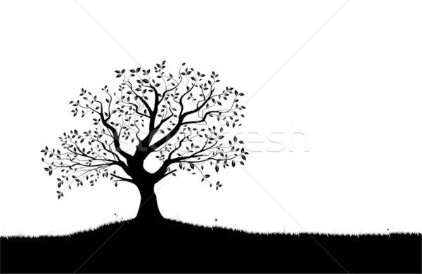 вектора дерево силуэта цветы трава черно белые Сток-фото © olivier_le_moal