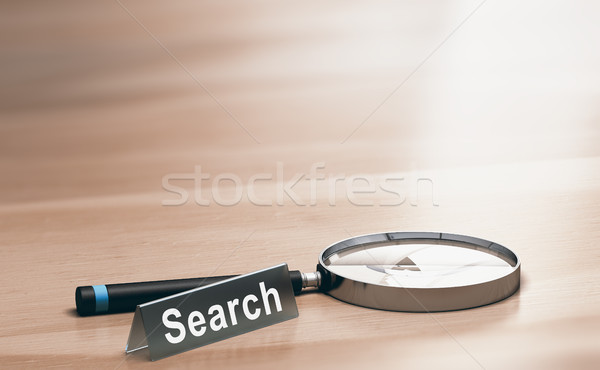 Magnifying Glass. Concept of Web Search Stock photo © olivier_le_moal
