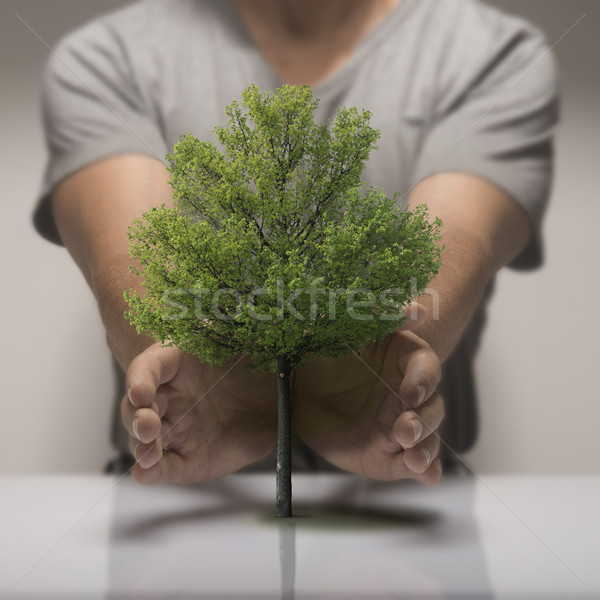 ökológia védelmez természet kettő kezek körül Stock fotó © olivier_le_moal