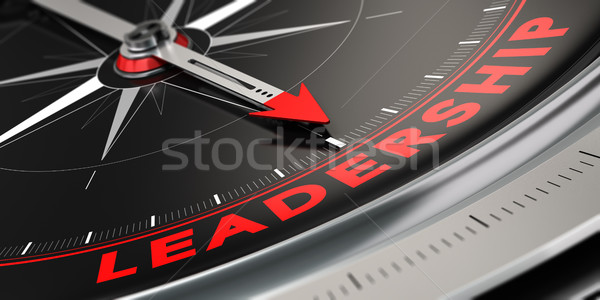 Successful Leader, Leadership Concept Stock photo © olivier_le_moal