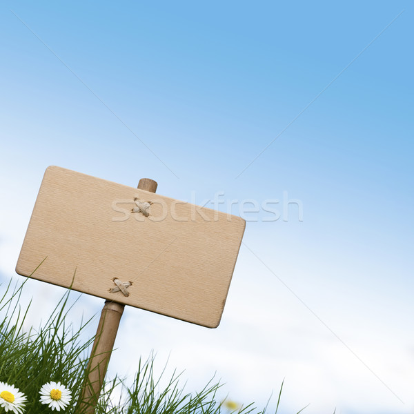 Stockfoto: Groene · teken · groen · gras · madeliefjes · bloemen