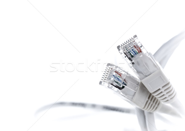 rj45 plugs and cable, technology border Stock photo © olivier_le_moal